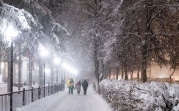 Ночью в Тульской области ожидается резкое потепление