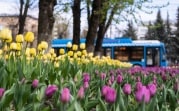 11 мая в Туле ожидается до +18 градусов