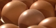 Стало известно, какими продуктами можно быстро сжечь жир