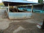 В поселке под Богородицком продают рынок