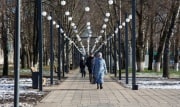 Социальный интернет и детские выплаты: как изменится жизнь туляков в декабре