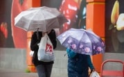 Погода в Тульской области 23 сентября: облачно, сыро и до +13
