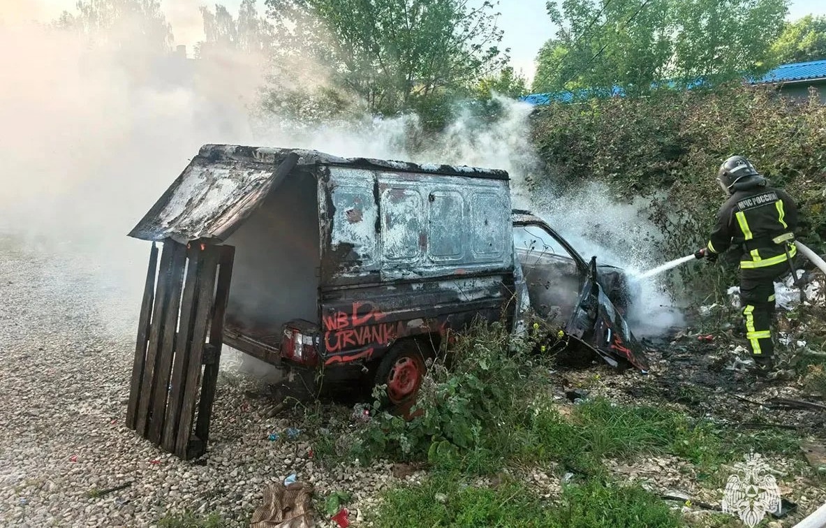 В Новомосковске сгорела легковушка на улице Дружбы