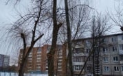 Погода в Туле 26 февраля: от -3 до +5 и без осадков