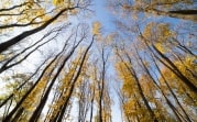 В Тульской области сегодня без осадков