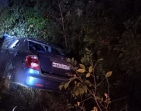 В Богородицком районе водитель Geely погиб, сбив лося на трассе