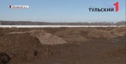Кучи дохлых кур нашли в поле в Тульской области