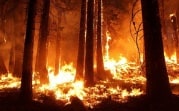 Тульское МЧС объявило метеопредупреждение на 7-9 сентября