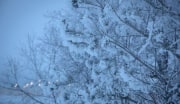 На новогодние каникулы туляков приглашает Куликово поле