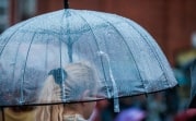 Погода в Туле 4 ноября: небольшой дождь и до +5