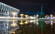 Тульская ёлка вошла в топ-10 самых высоких в России