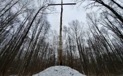В Тульском лесу нашли загадочную поляну с крестами и зеркалами