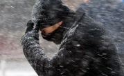 Погода в Тульской области 30 января: облачность, сильный ветер, до +3 градусов