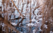 Погода в Туле 22 ноября: морозно и без осадков