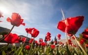 На Центральную Россию надвигается весеннее тепло
