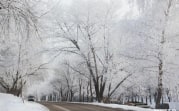 Погода в Туле: 3 января облачно и без осадков