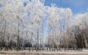В Тульскую область на несколько дней вернется зима