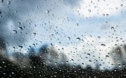 Погода в Туле 15 октября: дожди и ветер