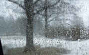 Погода в Тульской области 3 марта: дождливо, ветрено и до +7 градусов