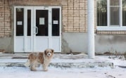 Погода в регионе 6 января: облачно и небольшой снег