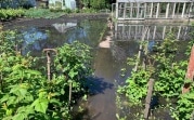 В Новомосковске дачные участки затопило фекалиями