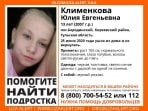 В Тульской области возбуждено уголовное дело по факту исчезновения 13-летней девочки