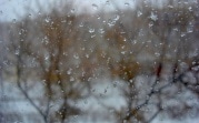 Погода в Тульской области 31 января: до +1, умеренный ветер и низкое давление