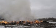 В Новомосковске ООО «Экстар» утилизировало отходы с нарушениями