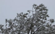 В Тульской области сегодня будет облачно