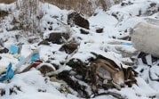 На свалке в Барсуках найден труп младенца