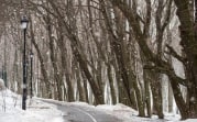 Погода в Туле 2 февраля: мокрый снег и небольшой морозец
