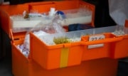 За сутки в Тульской области заболели коронавирусом 74 человека