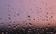 В Туле сегодня облачно и дождливо