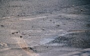 В регионе сегодня ожидается дождь
