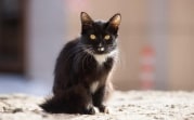 Погода в Туле 23 апреля: весеннее тепло и ветер