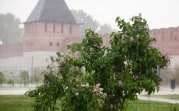 Погода в Туле 28 июля: жара, грозовые дожди и град