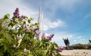 Погода в Тульской области 23 июня: ясно, жарко и без осадков