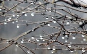 Погода в Тульской области 4 апреля: пасмурно, до +9, небольшой дождь