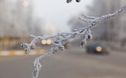 Погода в Тульской области 17 ноября: облачно, ветрено и морозно