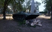 «Я хозяин, торг – у пушки»: в Тульской области на продажу выставили БМП