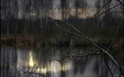Погода в Туле 12 ноября: гололедица, дождь и ветер
