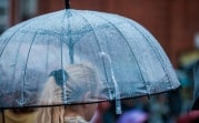 Какая погода ждет Тульскую область 15 апреля