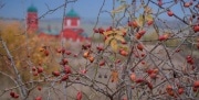 Что? Где? Когда? - публикуем программу выходных на Куликовом Поле