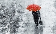 Погода в Тульской области 27 января: сильный ветер и мокрый снег