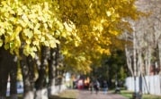 В регион придет третья волна бабьего лета