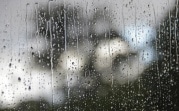 Погода в Тульской области 17 апреля: облачно, мокро и ветрено