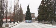 Сегодня жителей Узловой ждет праздник открытия елки
