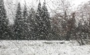 Погода в Тульской области 29 января: сыро, ветрено и низкое давление