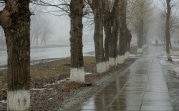 Погода в Тульской области 21 декабря: облачно, сухо, южный ветер