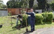 В Новомосковске прошла акция «Яблоко Ньютона»